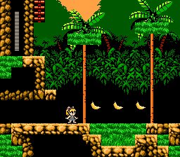 Donkey Kong Country