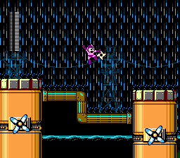 Pumprain Plant